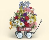 Its a BOY or Its a GIRL Wagon from Teleflora