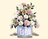 Find an online Teleflora florist serving Barre, Burlington, Essex Junction, Middlebury, Montpelier, Rutland, Winooski, Vermont, VT, 