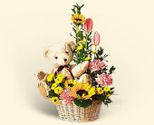Florists On The Web Online Teleflora Wire Service Search